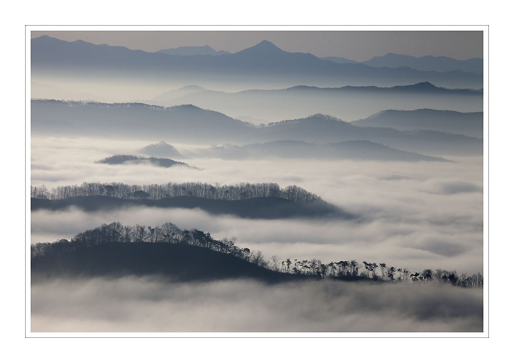 _MG_3491-1.jpg