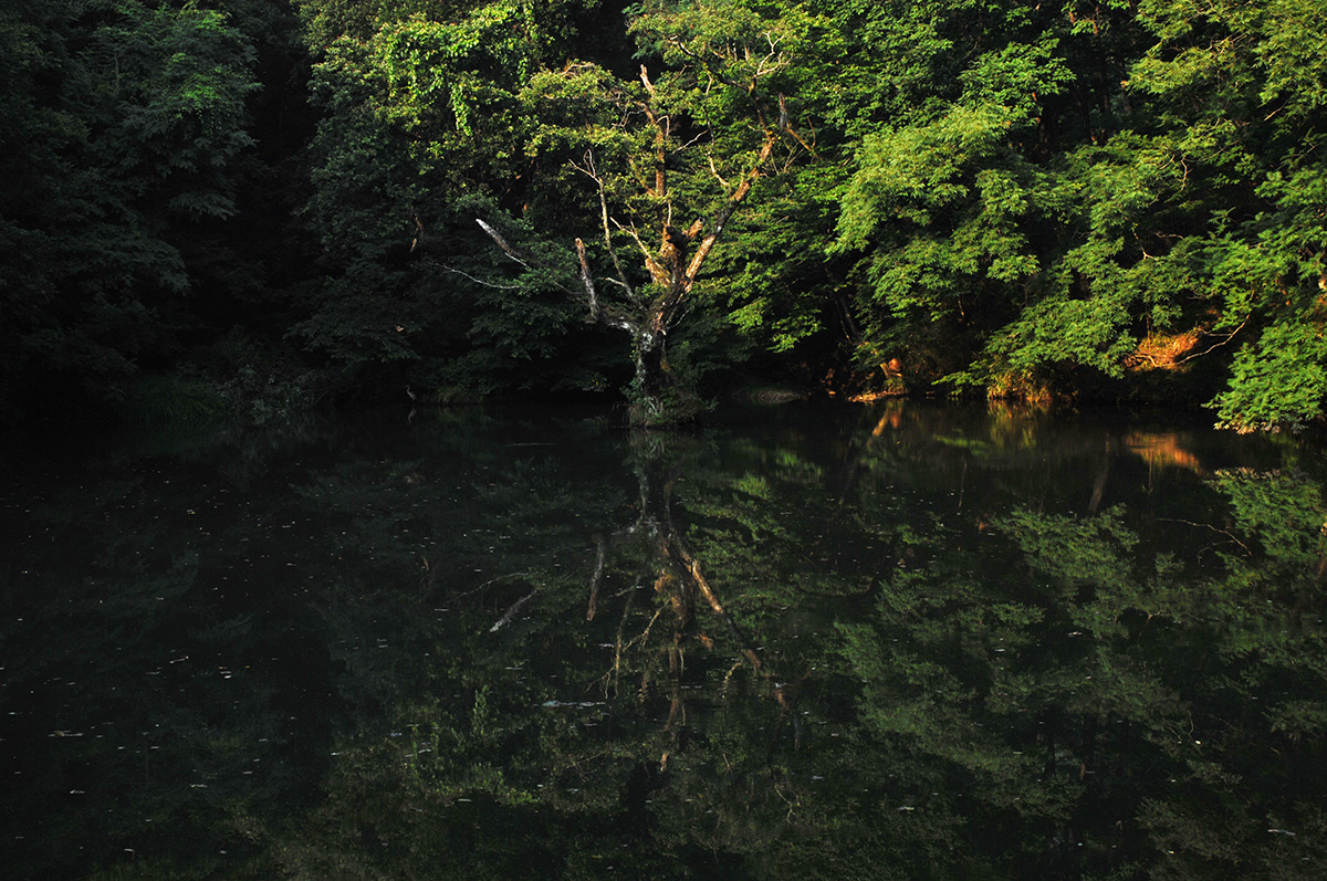 W-PSC_0493-.jpg
