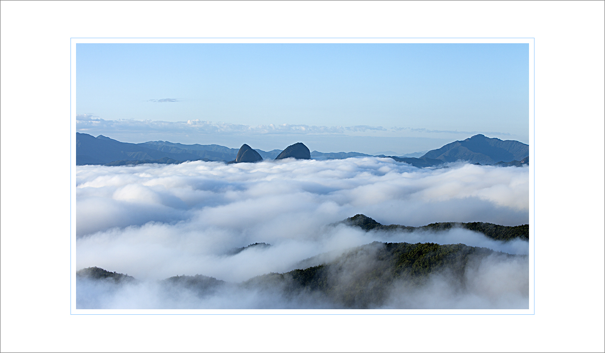 _MG_6022-1.jpg