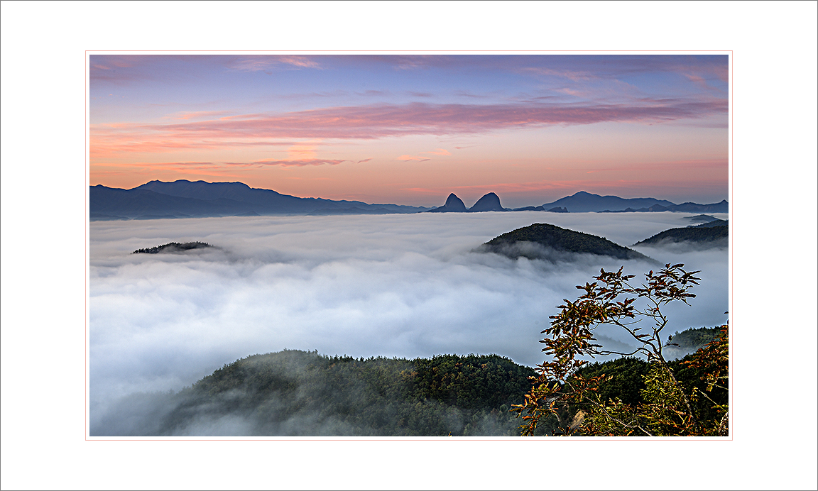 _MG_6533-1.jpg