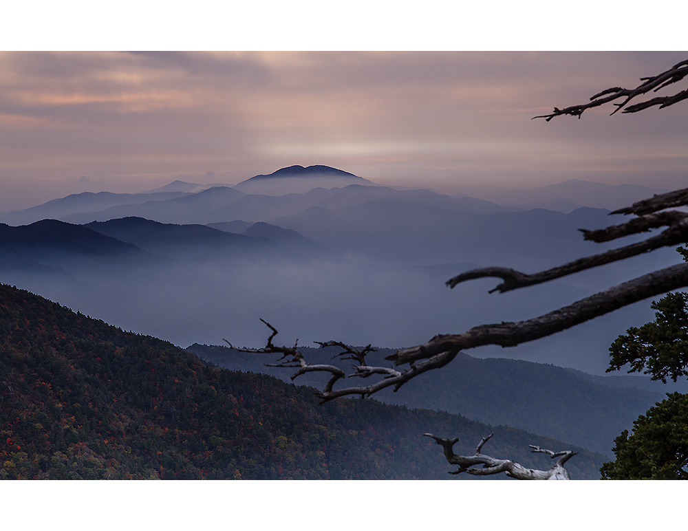 _MG_2414-1.jpg