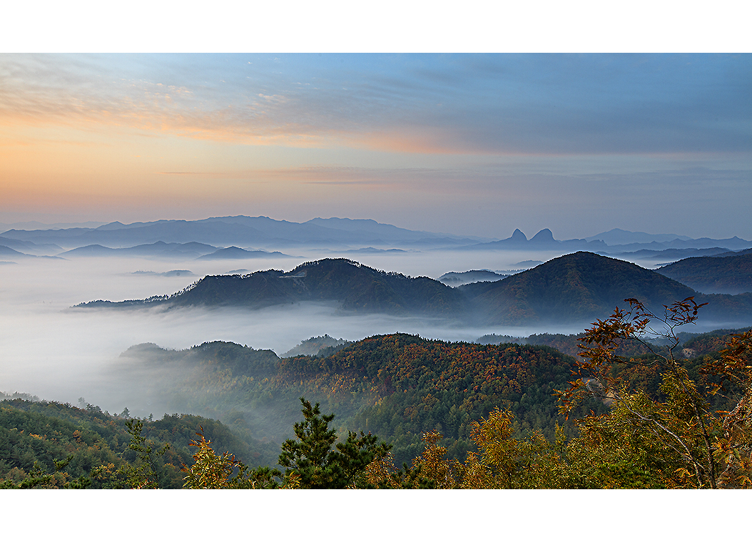 _MG_8166-1.jpg