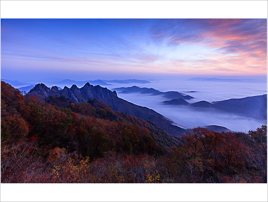 _MG_9119-1.jpg