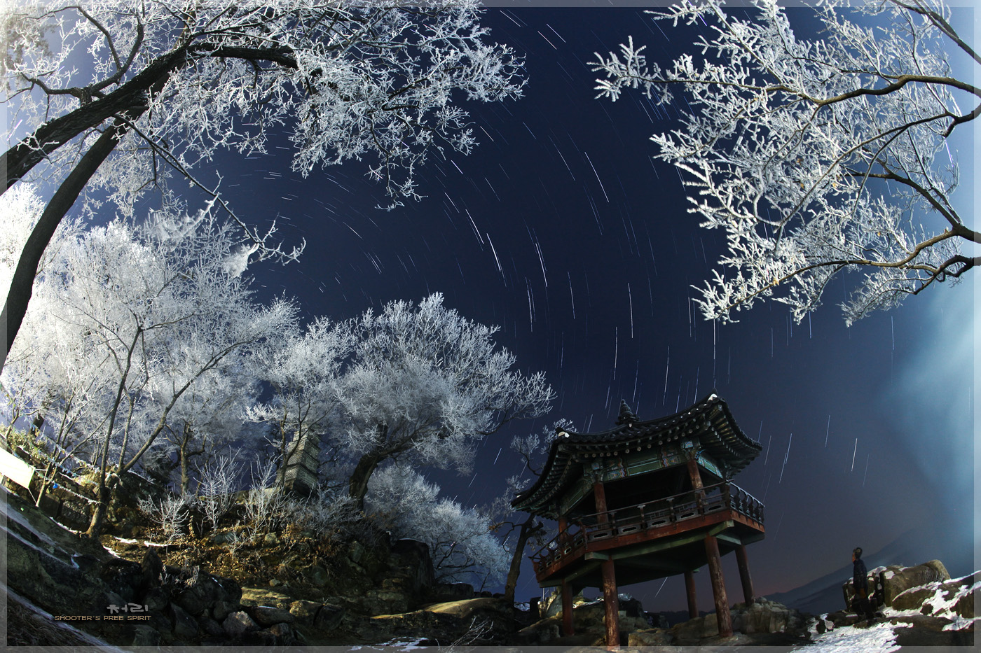 Startrails2.jpg