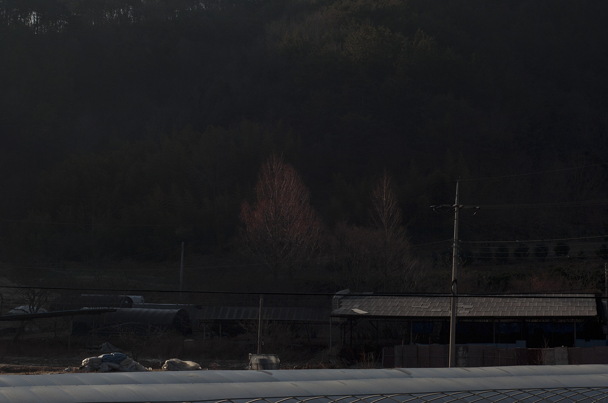 W-PSC_5810-C.jpg