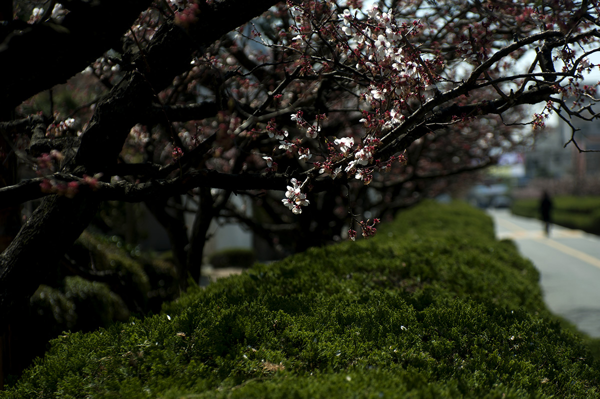 W-DSC_4336.jpg