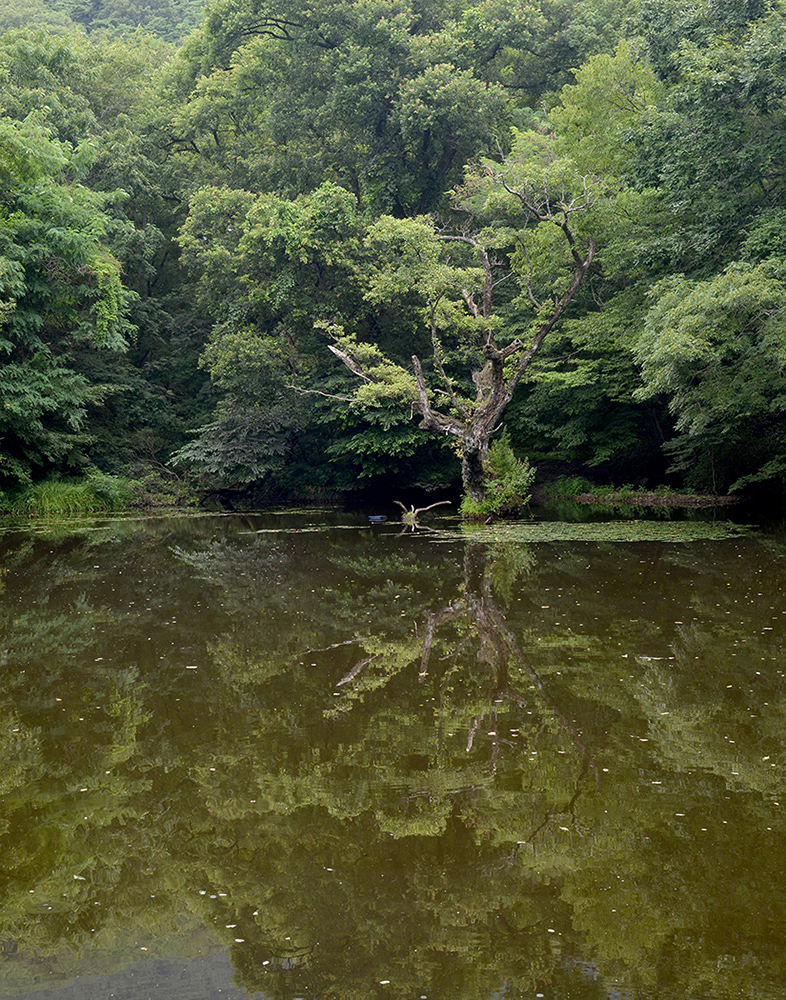 W-PD8_4982-11r-c.jpg
