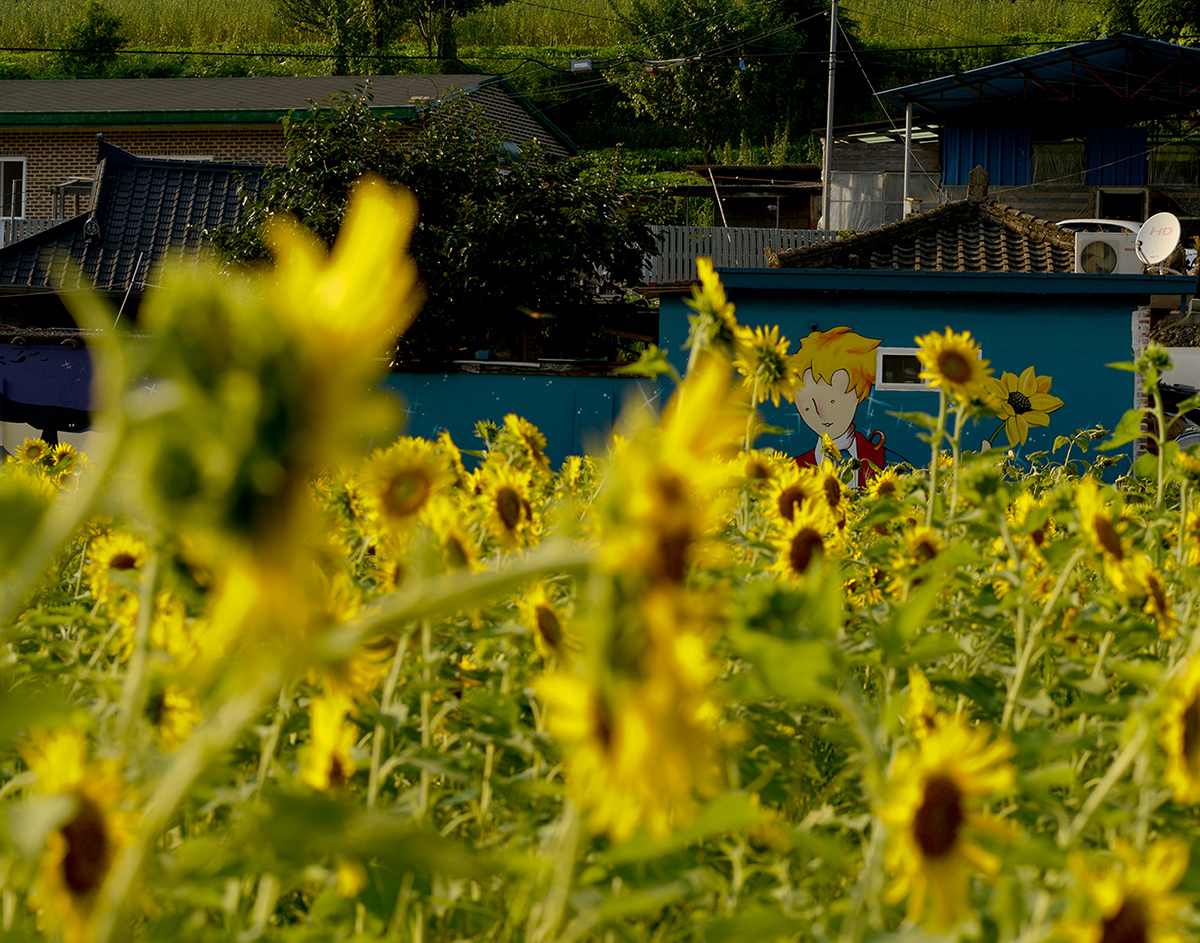 W-PD8_5618-11r.jpg
