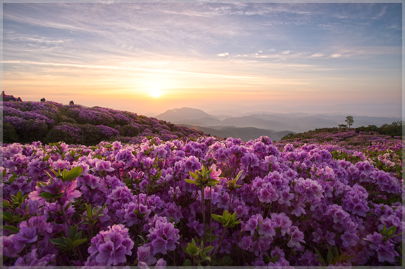 황매산.jpg