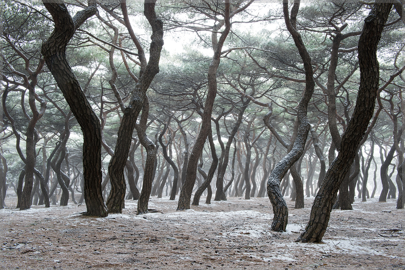 흥덕왕릉2.jpg