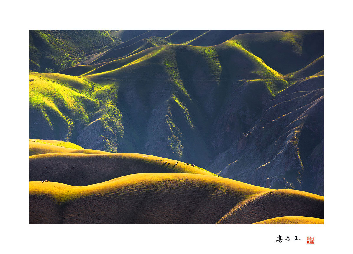 _P3B9860-복사.jpg