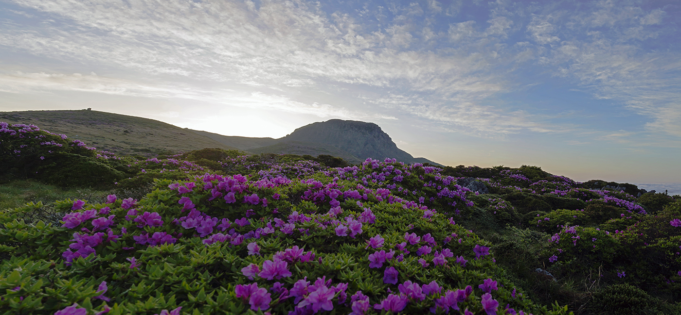 한라산2.jpg