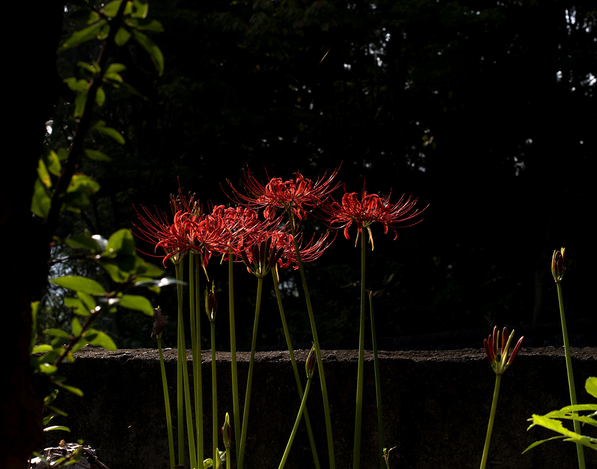 W-PD8_1693-11r.jpg