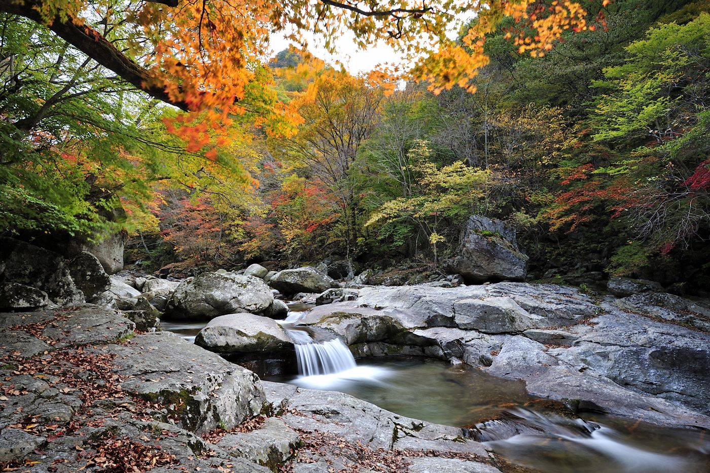 _DSC9682.jpg