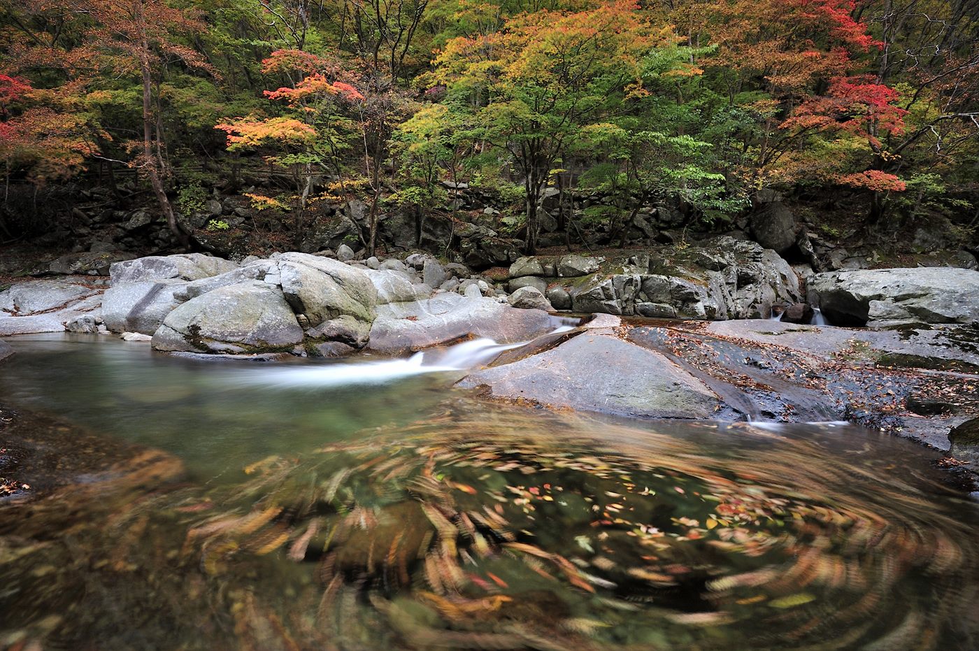 _DSC9698.jpg