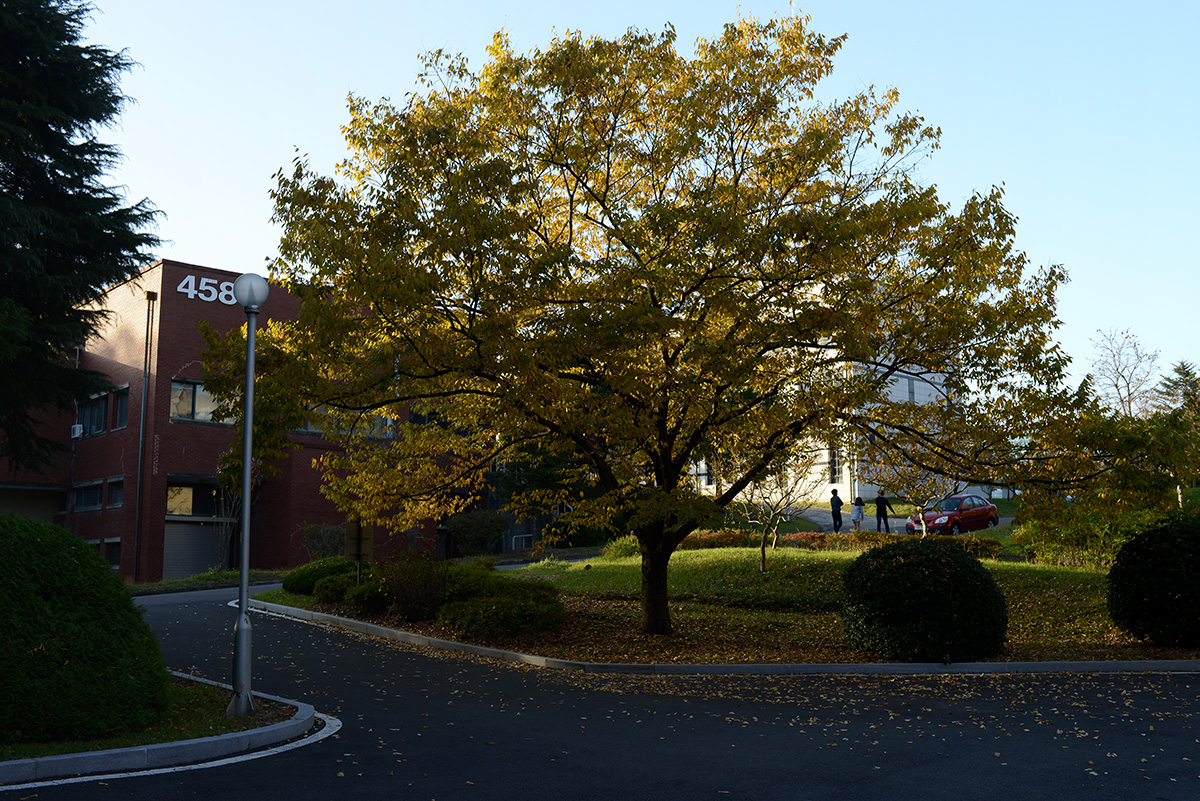 W-PD8_0098.jpg