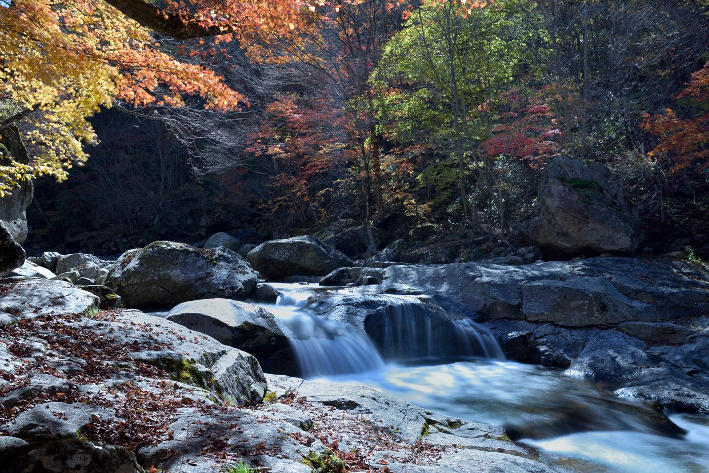 DSC_0327.jpg