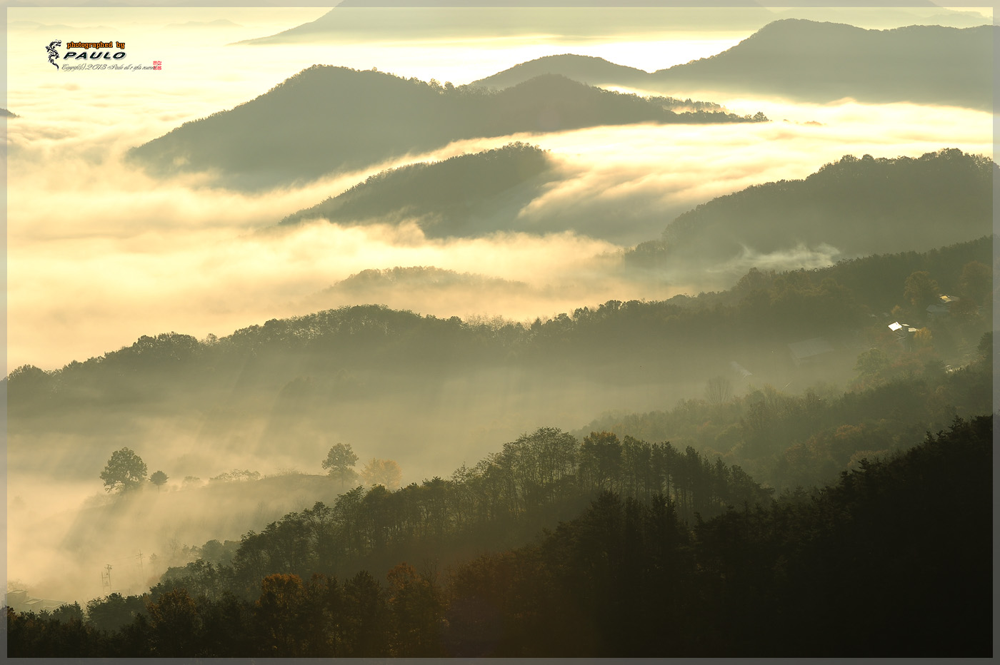 DSC_5771-2.jpg