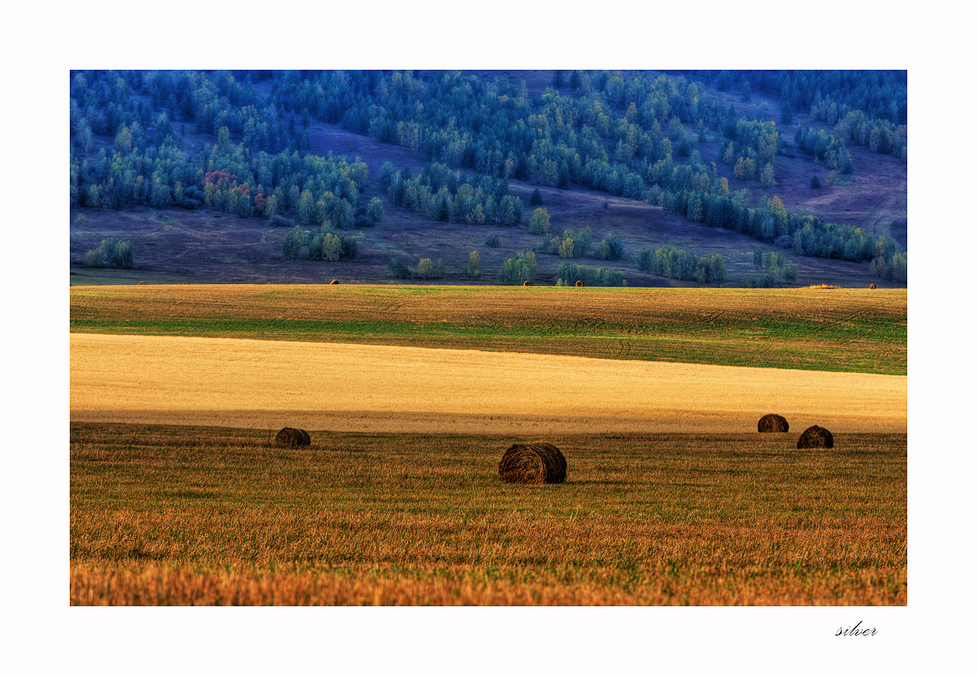 _DSC0712-3.jpg