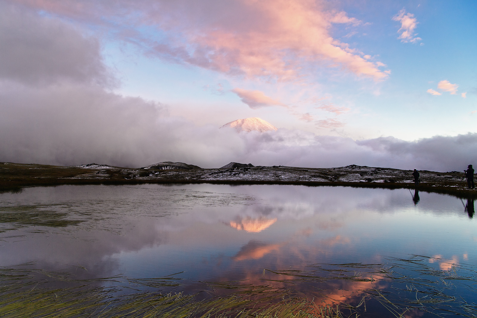 _DSC5974-1.jpg