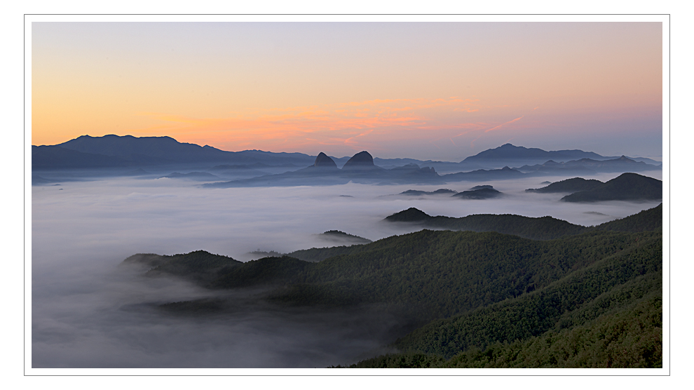 _MG_9272-1.jpg