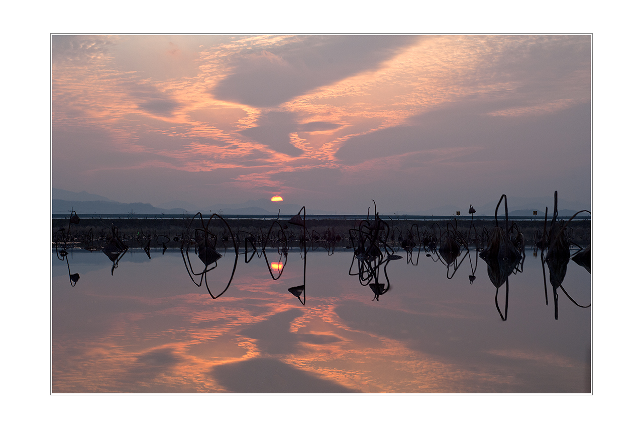 W-PSC_3646 as Smart Object-1.jpg