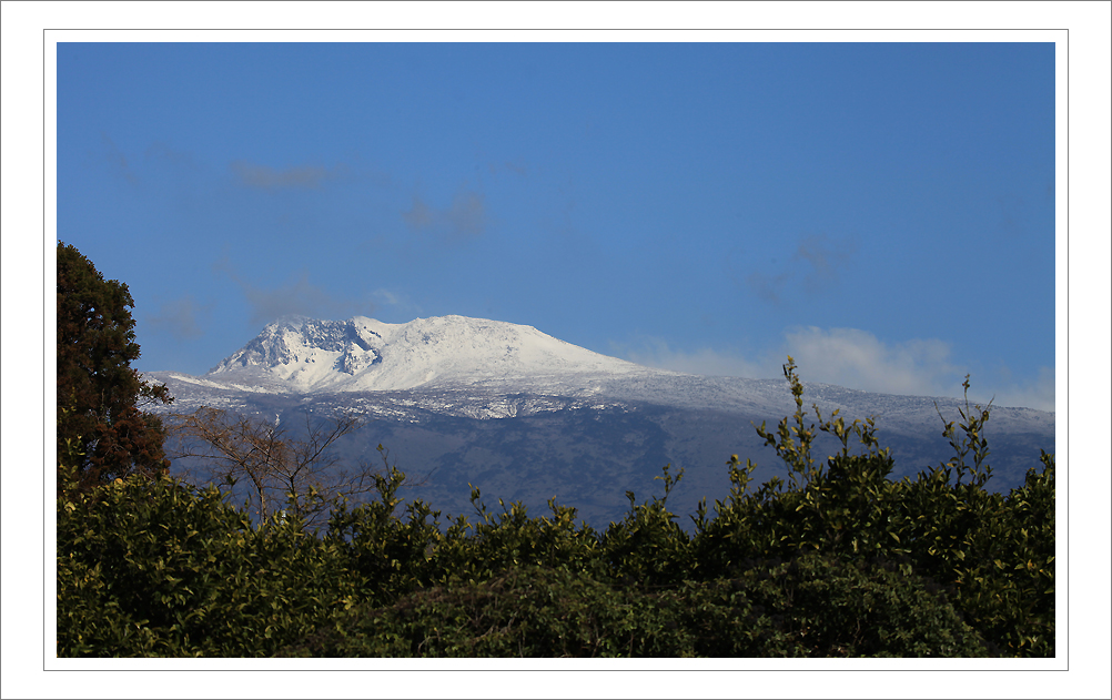 IMG_1840-1.jpg